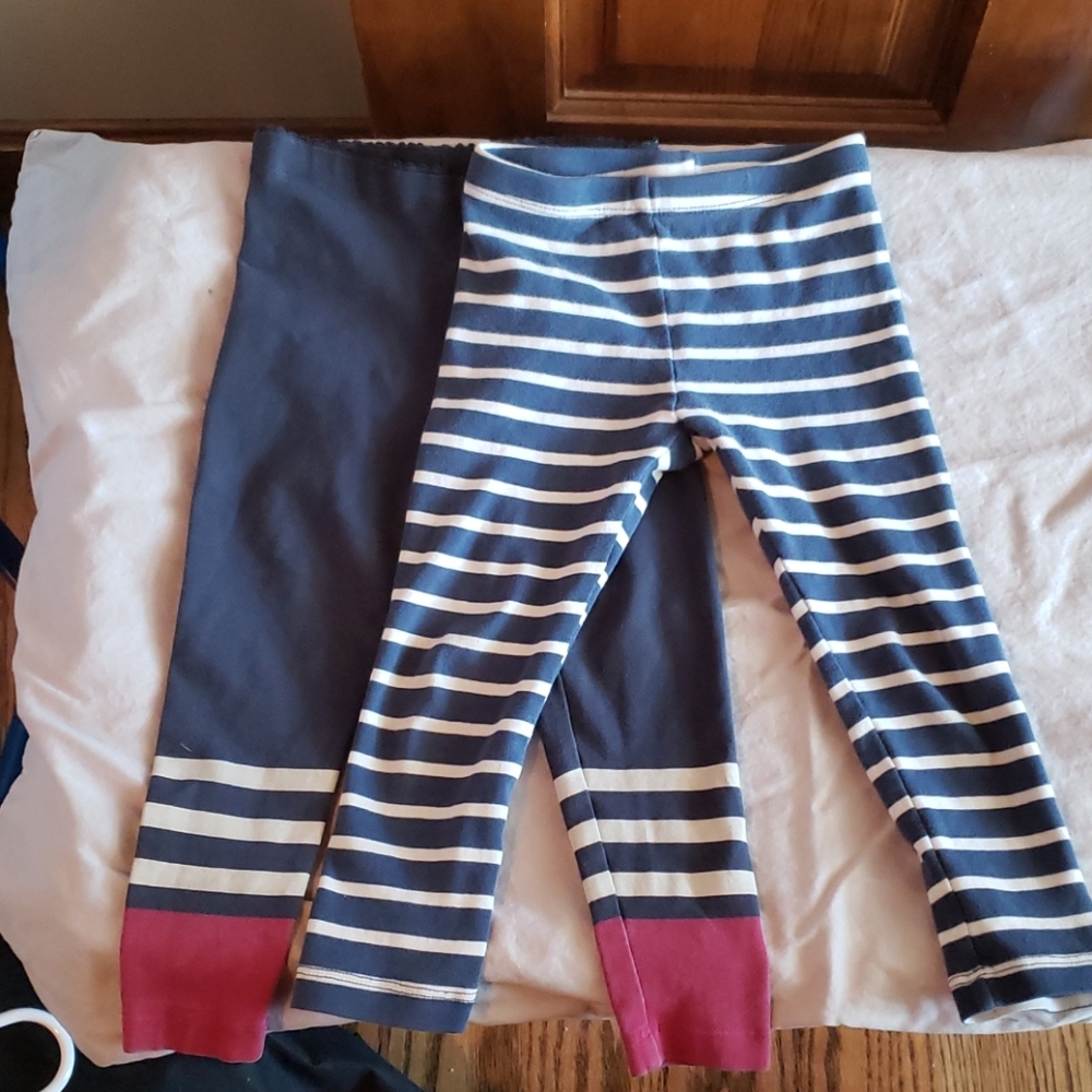 Lot of 2 Tea Collection leggings